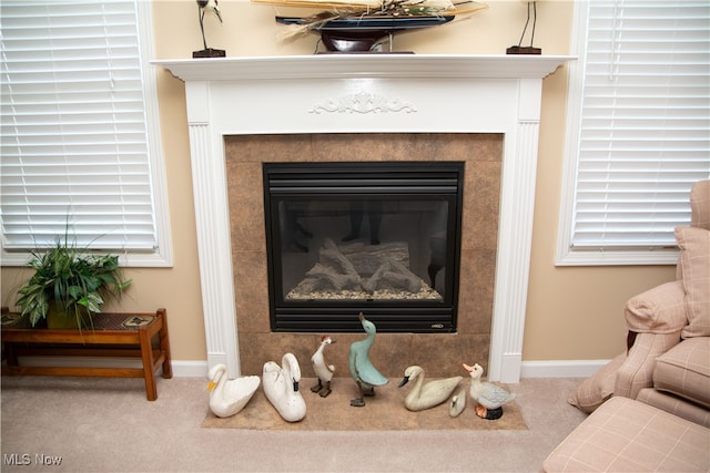 room details with carpet, baseboards, and a glass covered fireplace