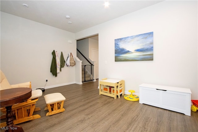 recreation room with wood-type flooring