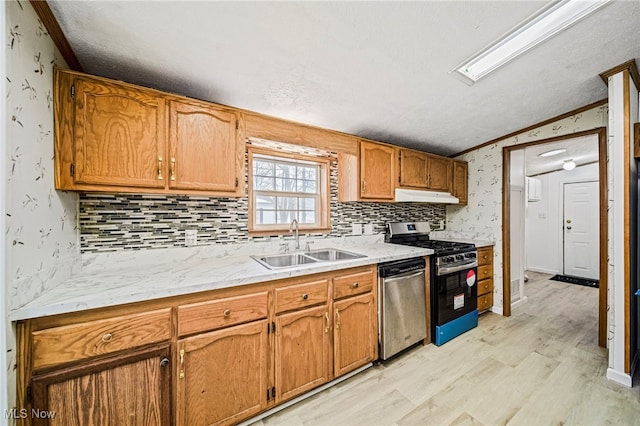 kitchen with sink, tasteful backsplash, vaulted ceiling, light hardwood / wood-style flooring, and appliances with stainless steel finishes