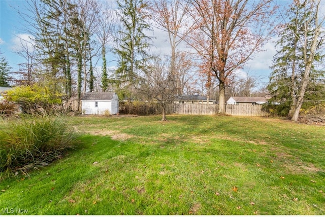 view of yard featuring a storage shed