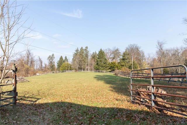 view of yard featuring a rural view