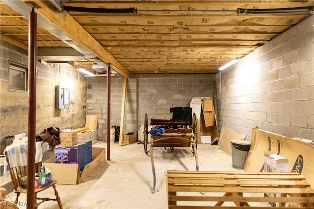 basement with electric panel