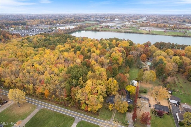 V/L Bronson Rd, Olmsted Twp, OH 44138 - photo 4