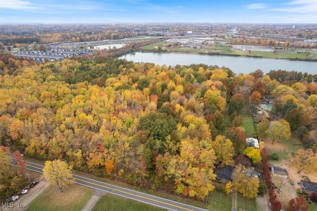 V/L Bronson Rd, Olmsted Twp, OH 44138 - photo 8