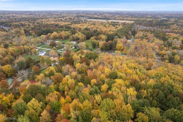 V/L Bronson Rd, Olmsted Twp, OH 44138 - photo 9