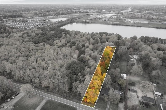 V/L Bronson Rd, Olmsted Twp, OH 44138 - photo 3