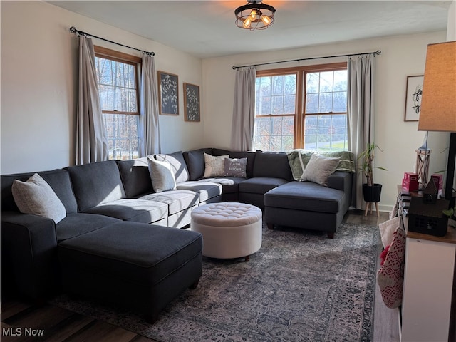 living room featuring hardwood / wood-style floors and a wealth of natural light