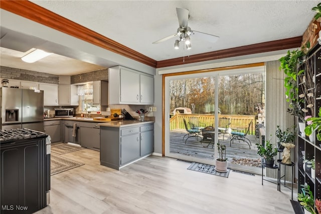 kitchen featuring gray cabinetry, crown molding, light hardwood / wood-style flooring, ceiling fan, and appliances with stainless steel finishes