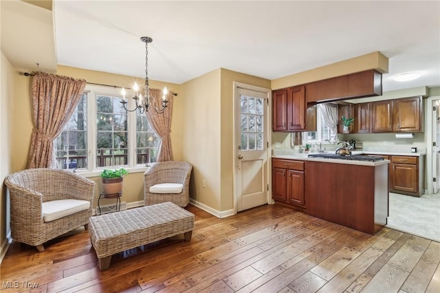 kitchen featuring plenty of natural light, light wood-style flooring, and light countertops