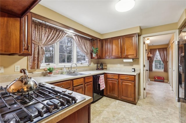 kitchen with a healthy amount of sunlight, dishwasher, light countertops, and a sink