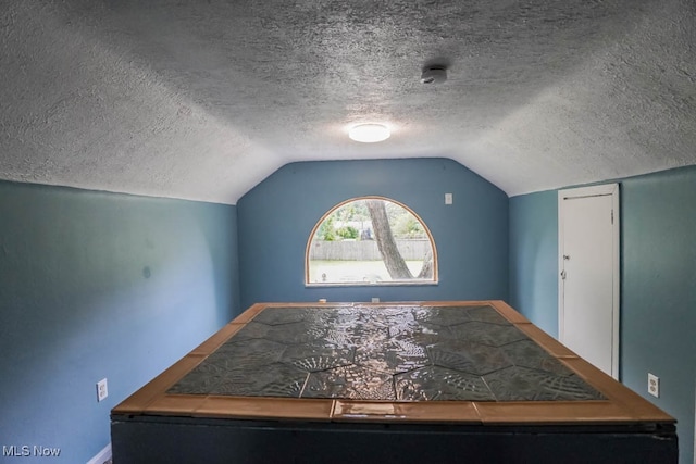 additional living space with lofted ceiling and a textured ceiling