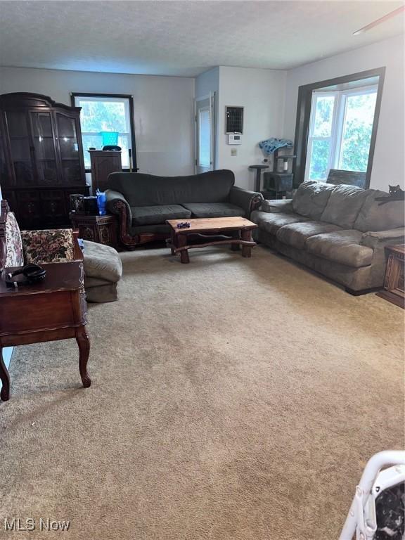 2908 Columbus Ave, Ashtabula, OH 44004 - view of carpeted living area