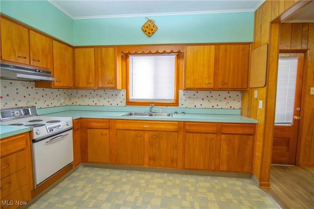 kitchen featuring sink, crown molding, backsplash, and white electric range oven