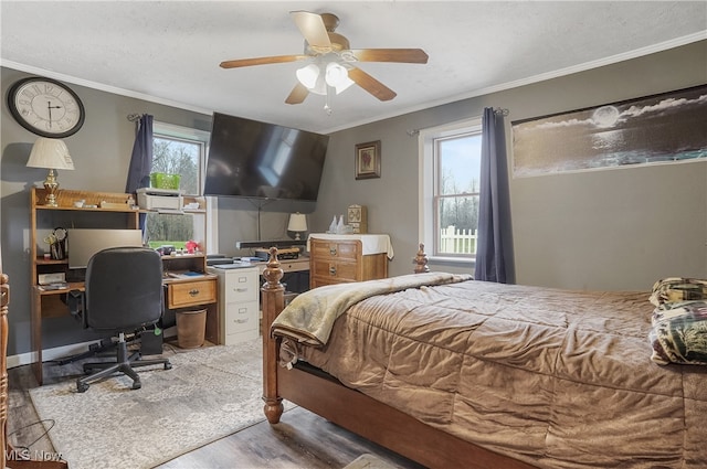 bedroom featuring multiple windows, ceiling fan, crown molding, and light wood-type flooring