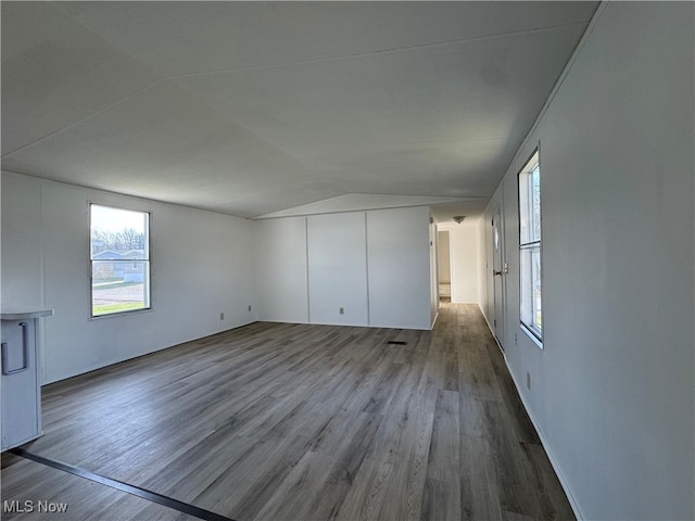 interior space featuring wood-type flooring and vaulted ceiling