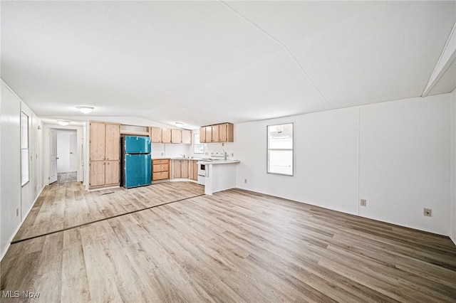 unfurnished living room with lofted ceiling and light hardwood / wood-style flooring