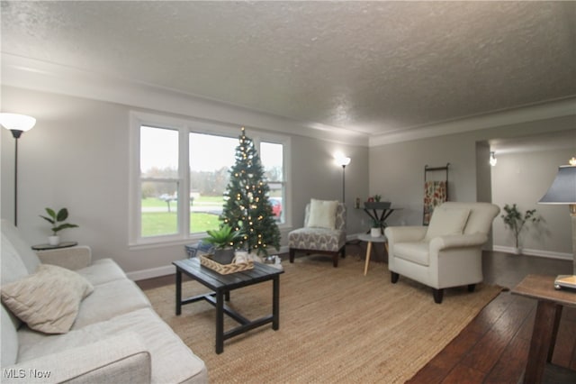 living room featuring a textured ceiling and hardwood / wood-style flooring