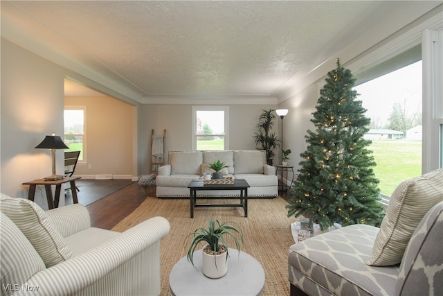 living room with light hardwood / wood-style floors and a textured ceiling