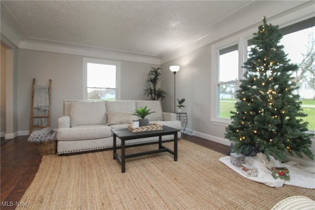 living room featuring wood-type flooring and a textured ceiling