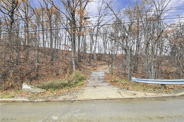 Puritas Ave, Cleveland OH, 44135 land for sale