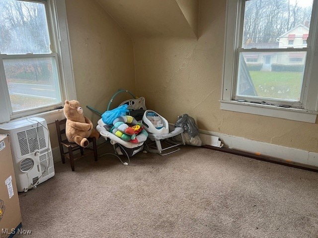 additional living space featuring plenty of natural light, carpet, and lofted ceiling