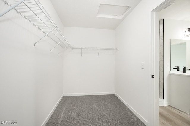 spacious closet featuring light hardwood / wood-style floors