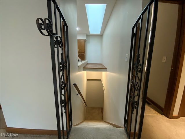 staircase with carpet flooring and a skylight