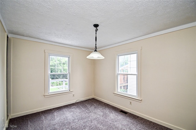 carpeted empty room featuring a textured ceiling and a healthy amount of sunlight