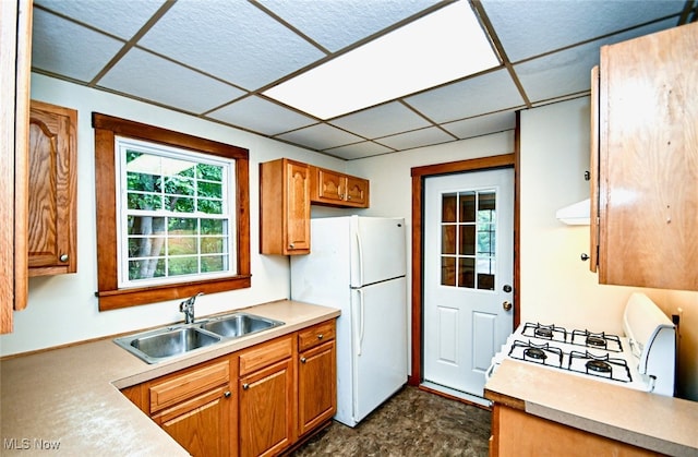 kitchen with range hood, sink, a drop ceiling, and white appliances