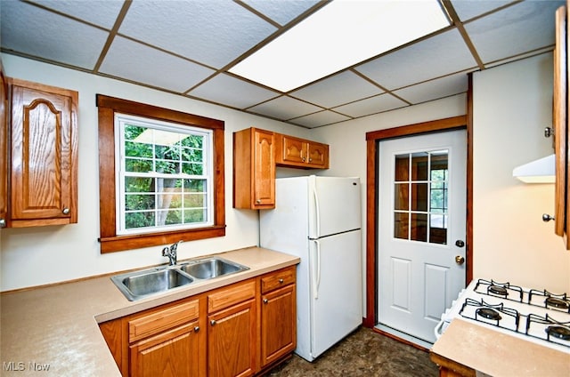 kitchen featuring white appliances, extractor fan, a paneled ceiling, and sink