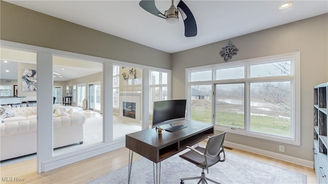 office space with ceiling fan and light wood-type flooring