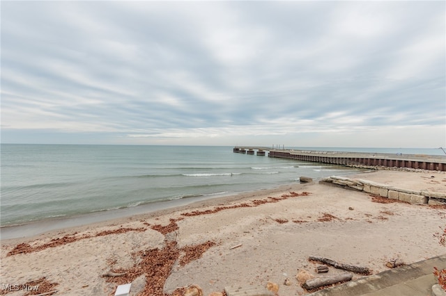 water view featuring a beach view