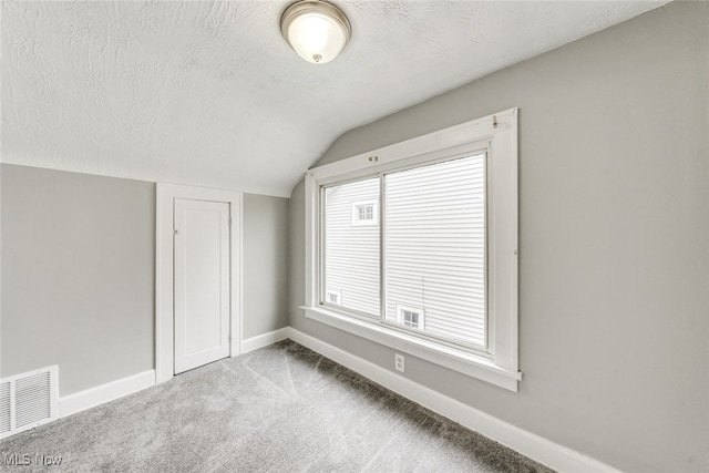 additional living space featuring a textured ceiling, carpet, and lofted ceiling