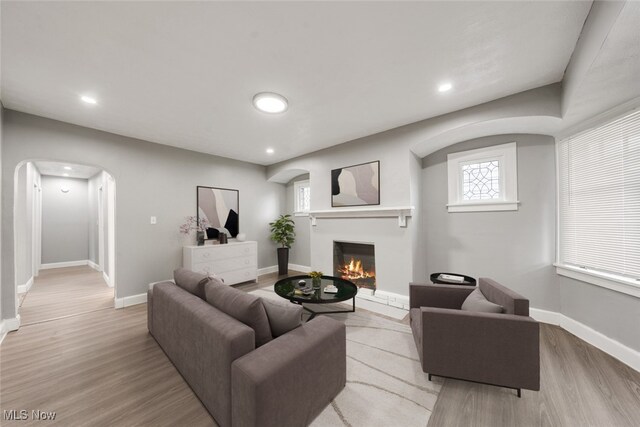 living room with light hardwood / wood-style flooring