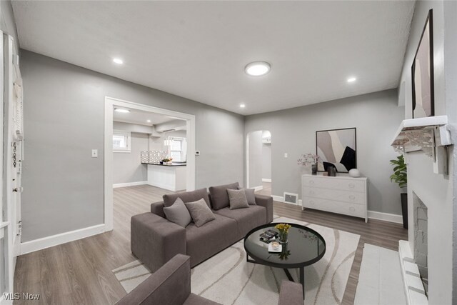 living room with wood-type flooring