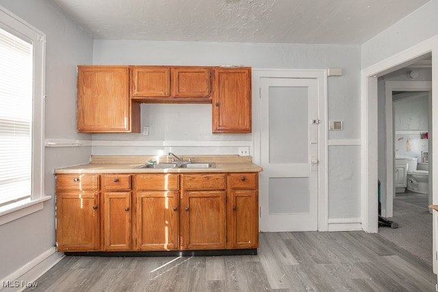 kitchen with hardwood / wood-style flooring and sink