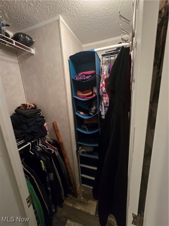 walk in closet featuring hardwood / wood-style flooring