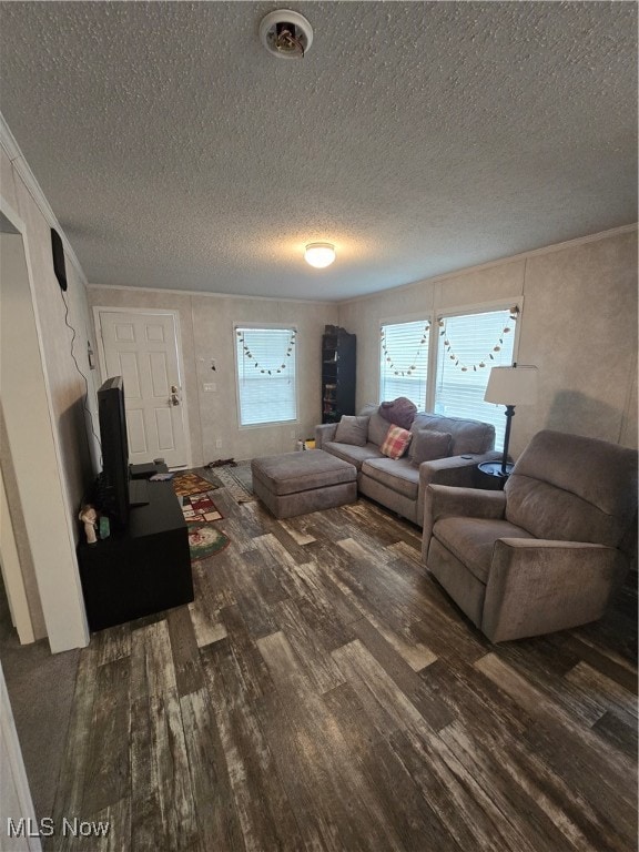 living room with a textured ceiling and dark hardwood / wood-style flooring