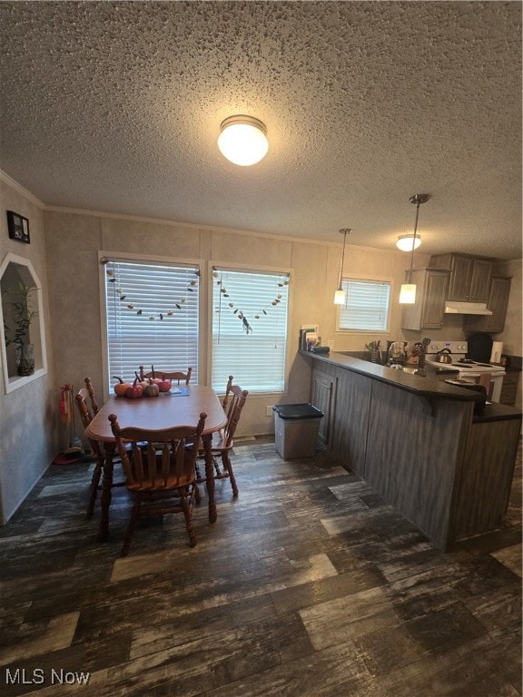 dining room with a textured ceiling, crown molding, and dark wood-type flooring