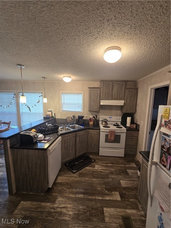 kitchen with sink, dark hardwood / wood-style flooring, pendant lighting, a textured ceiling, and white appliances