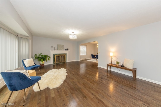 living area with dark hardwood / wood-style flooring