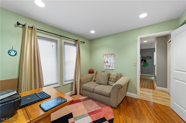 living room featuring hardwood / wood-style flooring