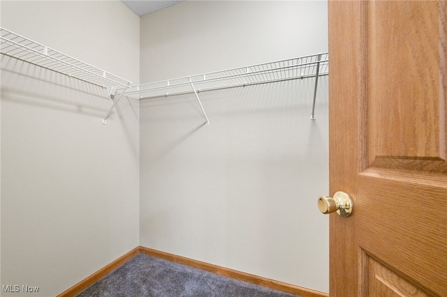 spacious closet featuring carpet