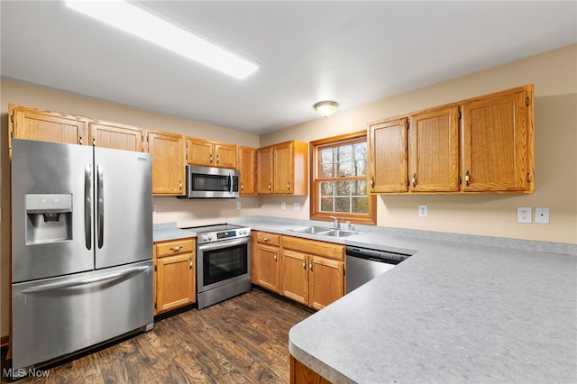 kitchen with appliances with stainless steel finishes, dark hardwood / wood-style floors, and sink