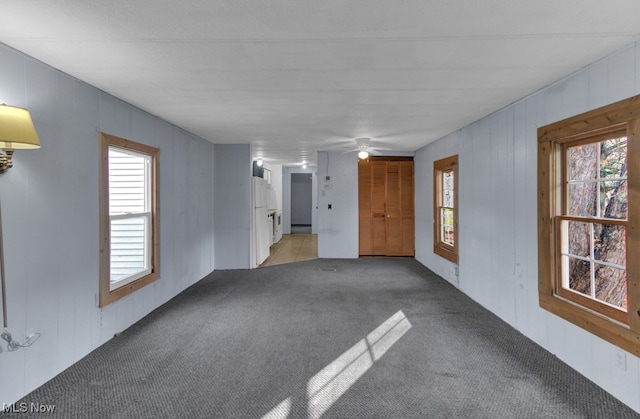 carpeted spare room featuring ceiling fan and a wealth of natural light