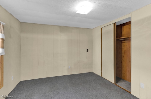 interior space featuring wood walls and carpet