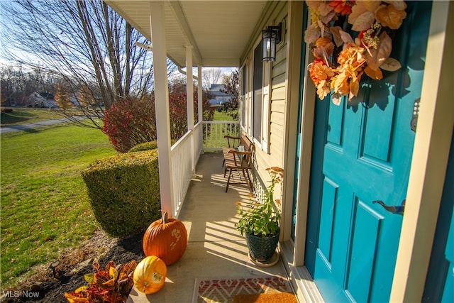 view of patio / terrace with covered porch