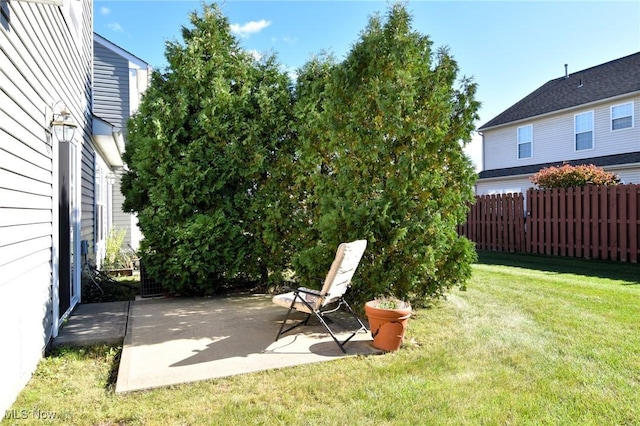 view of yard with a patio area