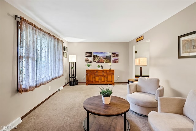 living room with carpet flooring