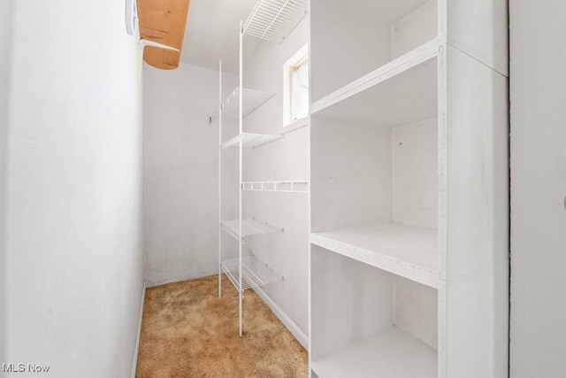 18061 Derr Ave, Beloit, OH 44609 - spacious closet with carpet flooring